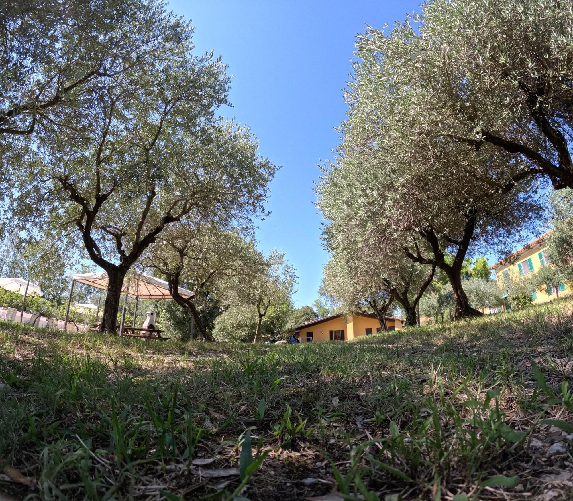 Agriturismo Gardenali Volta Mantovana Cameră foto