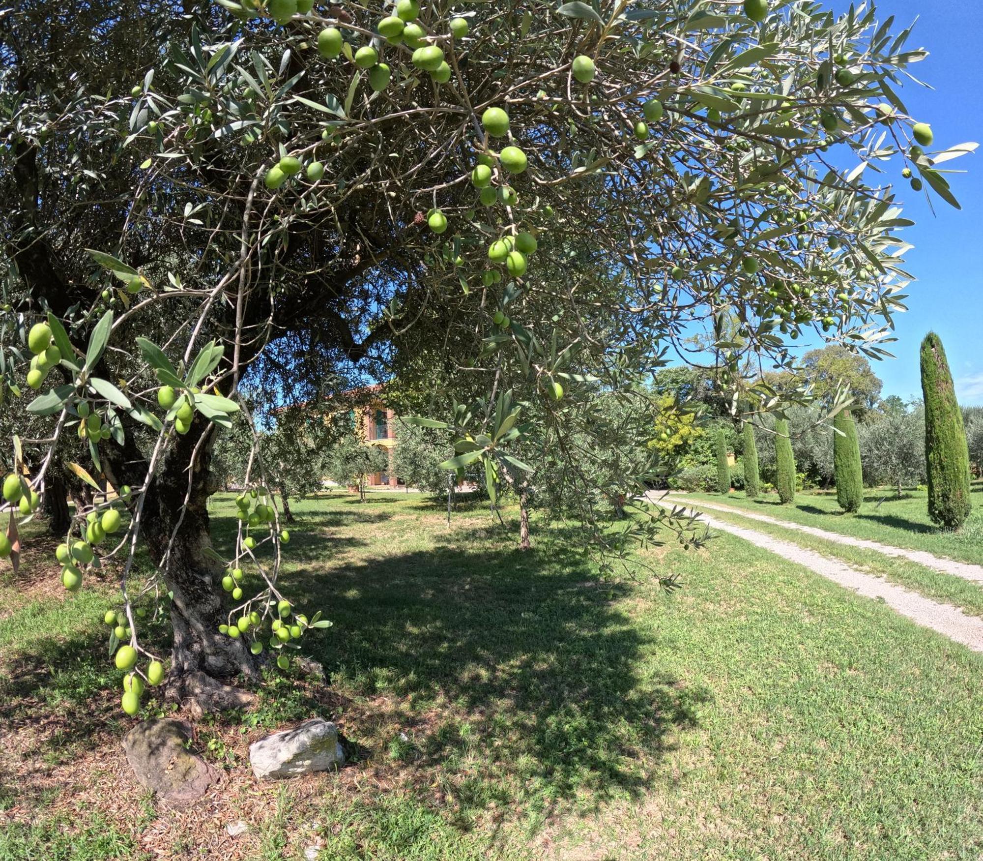 Agriturismo Gardenali Volta Mantovana Exterior foto