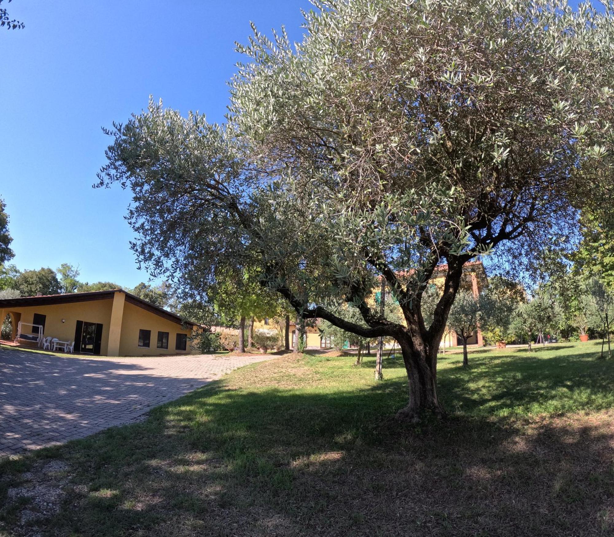 Agriturismo Gardenali Volta Mantovana Exterior foto