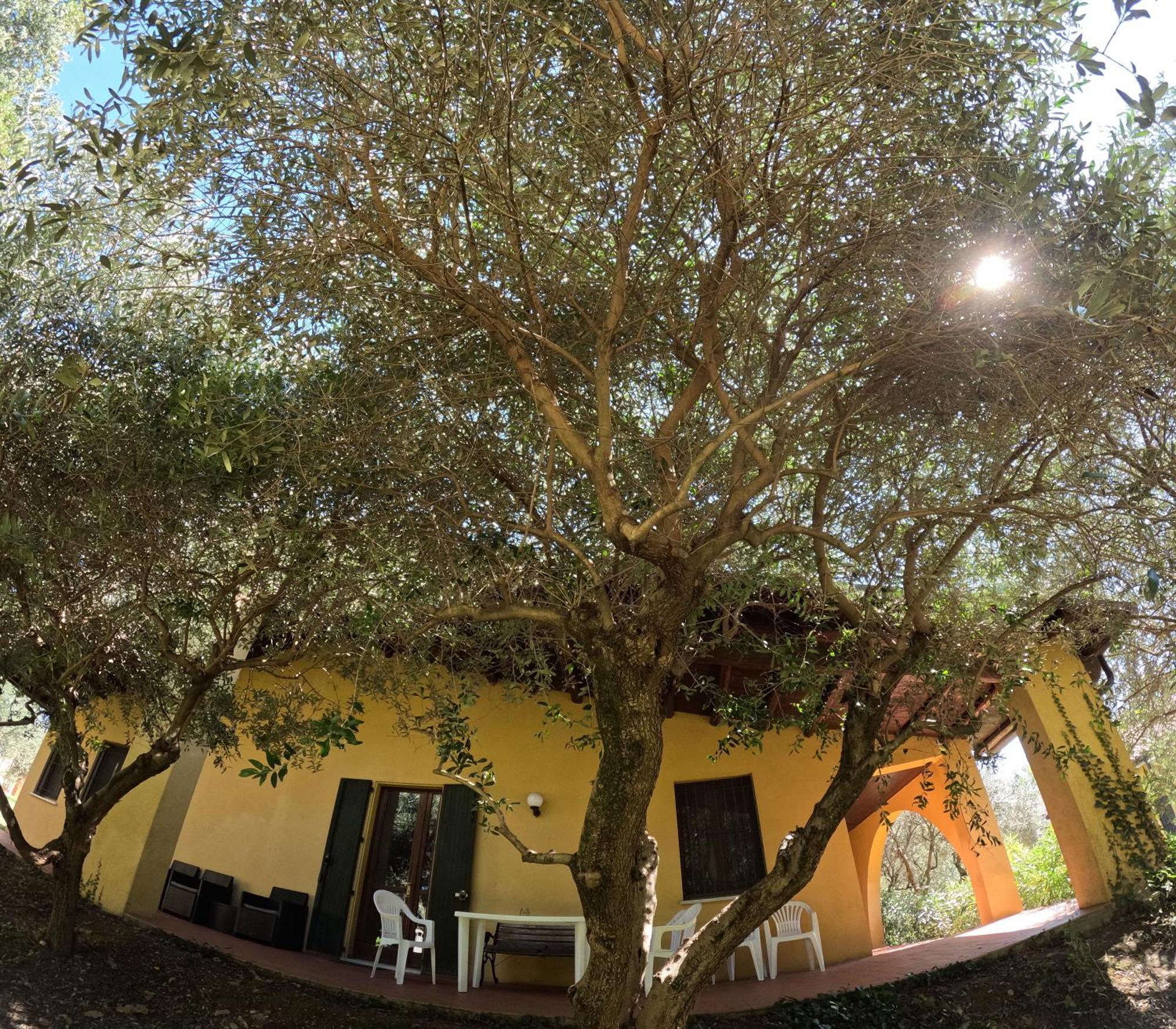 Agriturismo Gardenali Volta Mantovana Cameră foto